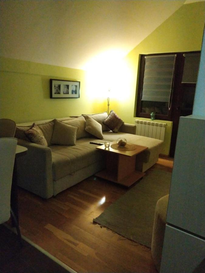 Apartment Gledovic Zlatibor Bagian luar foto