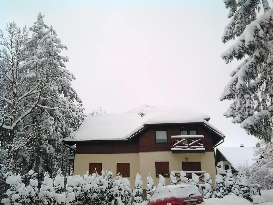 Apartment Gledovic Zlatibor Bagian luar foto