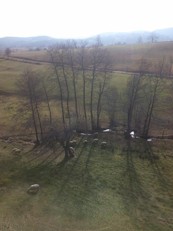 Apartment Gledovic Zlatibor Bagian luar foto